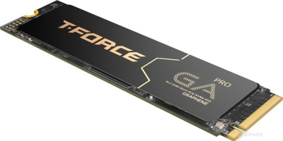 Team T-Force GA PRO 1TB TM8FFJ001T0C129 