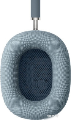 Наушники Apple AirPods Max (с разъёмом USB Type-C, синий) 