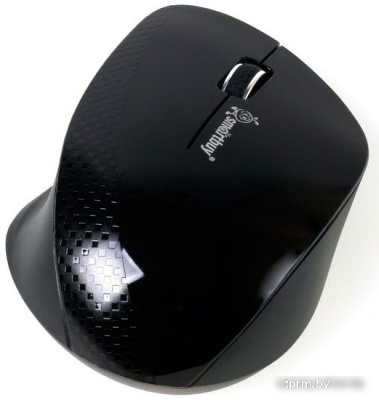 Мышь SmartBuy 309AG Black (SBM-309AG-K) 