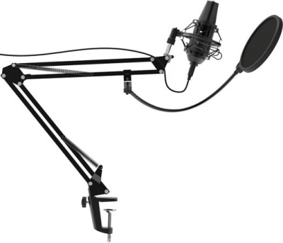 Микрофон Ritmix RDM-180 