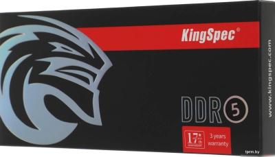 Оперативная память KingSpec 8ГБ DDR5 5600 МГц KS5600D5P13508G 