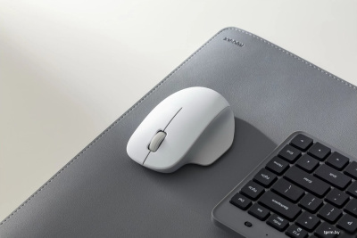 Xiaomi Wireless Mouse Comfort Edition XMWXSB04YM (белый, международная версия) 