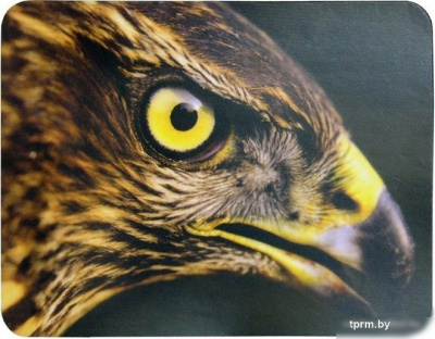 Коврик для мыши Buro BU-M40005 "Орёл" 