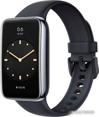 Фитнес-браслет Xiaomi Smart Band 7 Pro M2141B1 (серебристый/черный, международная версия) 