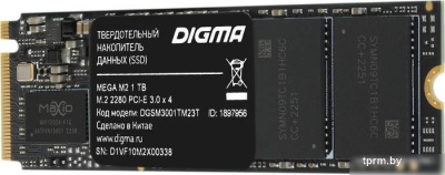 SSD Digma Mega M2 1TB DGSM3001TM23T 