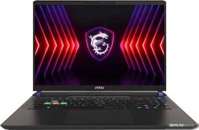 Игровой ноутбук MSI Vector 16 HX A14VIG-807BY 