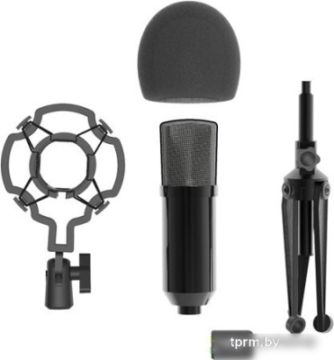 Проводной микрофон Ritmix RDM-160 