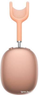 Наушники Apple AirPods Max (с разъёмом USB Type-C, оранжевый) 