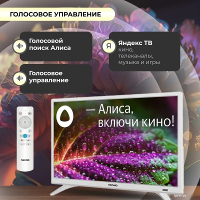 Телевизор ASANO 24LH8011T 