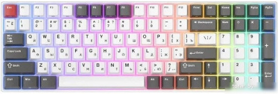 Клавиатура Royal Kludge RK100 RGB (белый/серый, RK Red) 