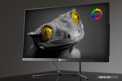 Моноблок ТЕСЛА Z24B 2108250 