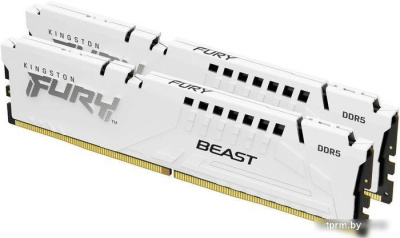 Оперативная память Kingston FURY Beast 2x16ГБ DDR5 5200 МГц KF552C36BWEK2-32 
