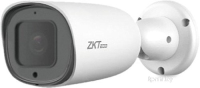 IP-камера ZKTeco ZK-LPR CarID BL-852Q38A-LP 