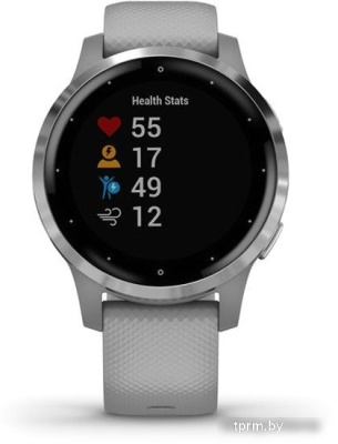 Умные часы Garmin Vivoactive 4s (серый/серебристый) 