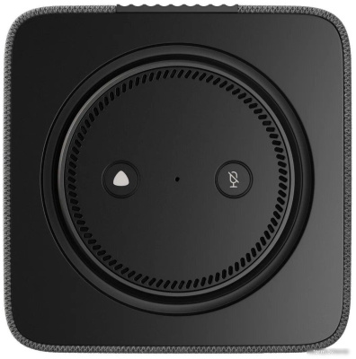 Яндекс Станция Макс (с хабом умного дома Zigbee, графит) 