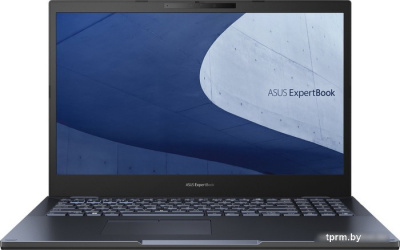 Ноутбук ASUS ExpertBook B2 B2502CBA-KJ0310X 